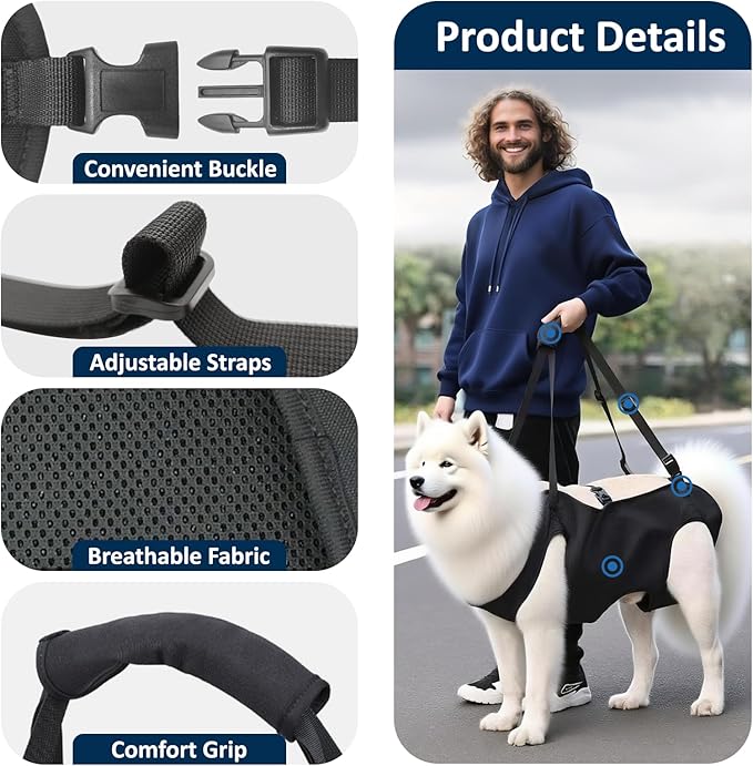 Dog Lift Harness, Full-Body Lifting Dog Harness Vest for Large Dogs, Ideal Mobility Aid for Senior, Injured, Disabled Dogs Needing Front and Rear Leg Support and Lifting Help (M)