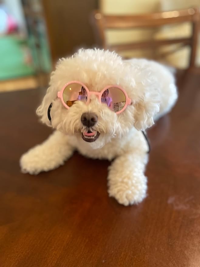 G016 Dog Pet Round Sunglasses Goggles for Small Dogs up to 15lbs (Pink-Pink Mirror)