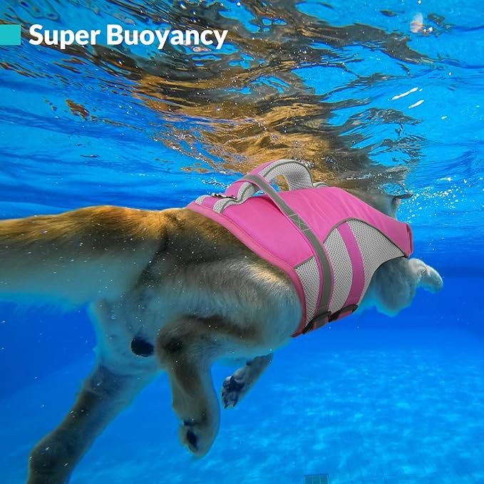 Queenmore Dog Life Vest for Swimming, Adjustable High Visibility Dog Life Jacket with Superior Buoyancy and Rescue Handle, Pink, XS