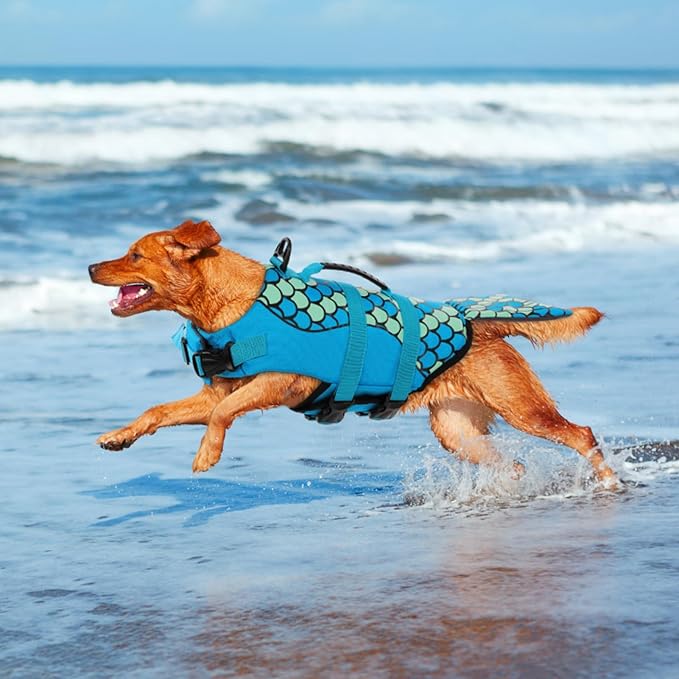 Queenmore Mermaid Dog Life Jacket - Lightweight Dog Swimming Vest, High Buoyant, Blue, S-XL