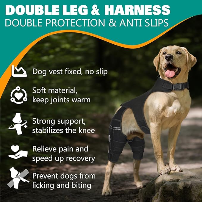 Dog Knee Brace for Hind Legs ACL Support - Adjustable Double Back Leg Brace for Dogs with Joint Pain Relief, Luxating Patella, Arthritis Recovery, Hip Dysplasia (Small)