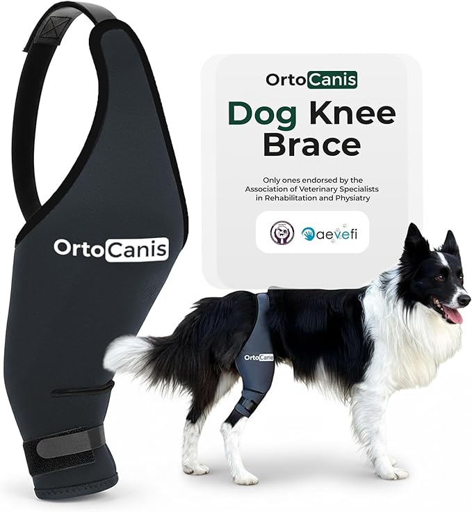 Ortocanis Dog Knee Brace for Hind Leg Support – Flexible Neoprene Knee Brace for Dogs with Joint Instability, Torn ACL, Limping or Osteoarthritis – Comfortable Support for Recovery (XXXS, Right Leg)