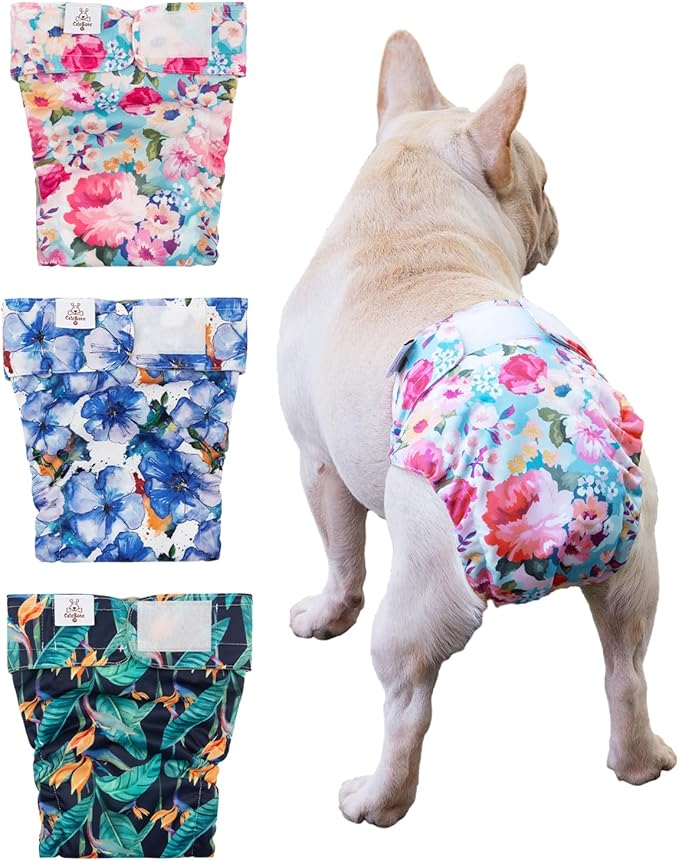 CuteBone Washable Dog Diapers Female No Tail Hole 3 Pack Reusable Doggie Period Training Pants for Docked-Tail Frenchie French Bulldog Boston Terrier Without Tail WWD04M