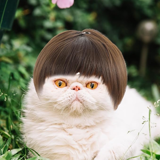Funny Dog Cat Cosplay Wigs for Dogs, Dog Wigs for Small Dogs Adjustable Cat Wig Trimmable Funny Dog-Wig Pet Wig for Halloween, Parties, Christmas, Festivals