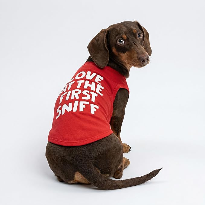 Fitwarm Love at The First Sniff Shirt, Valentines Outfit, Summer Clothes for Small Dogs Boy Girl, Funny Tshirt, Lightweight Breathable Cotton, Pet Cat Outfit, Red, XXL