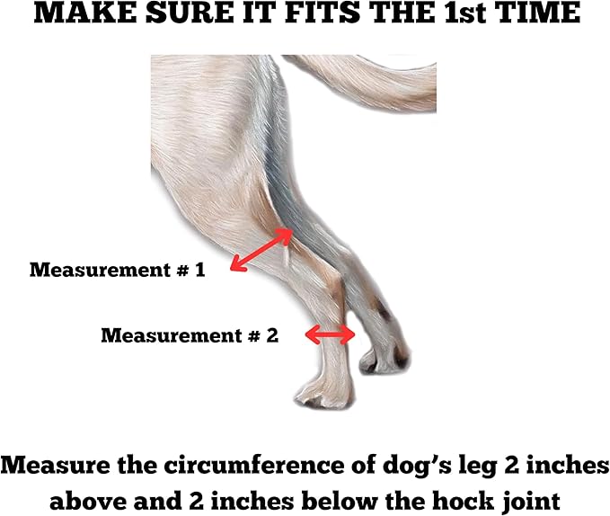 Doggie Stylz Dog Leg Braces for Back Leg Adjustable Dog Hock Brace for ACL Tear Recovery Arthritis Mobility Support Premium Leg Brace for Dogs Back Leg Dog Knee Braces for Back Leg Comfort Stability