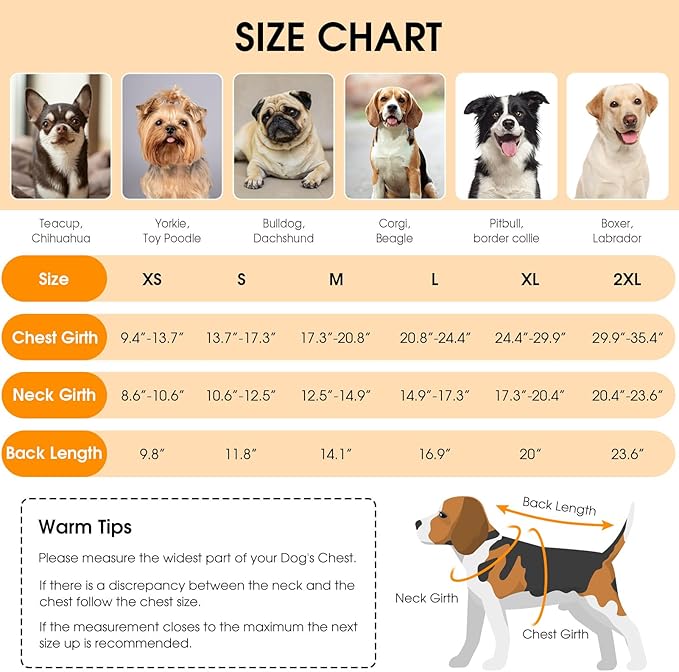 Queenmore Dog Winter Coat, Cold Weather Fleece Jacket for Dogs, Waterproof Reflective Reversible, for Small, Medium and Large Dogs (Green, L)