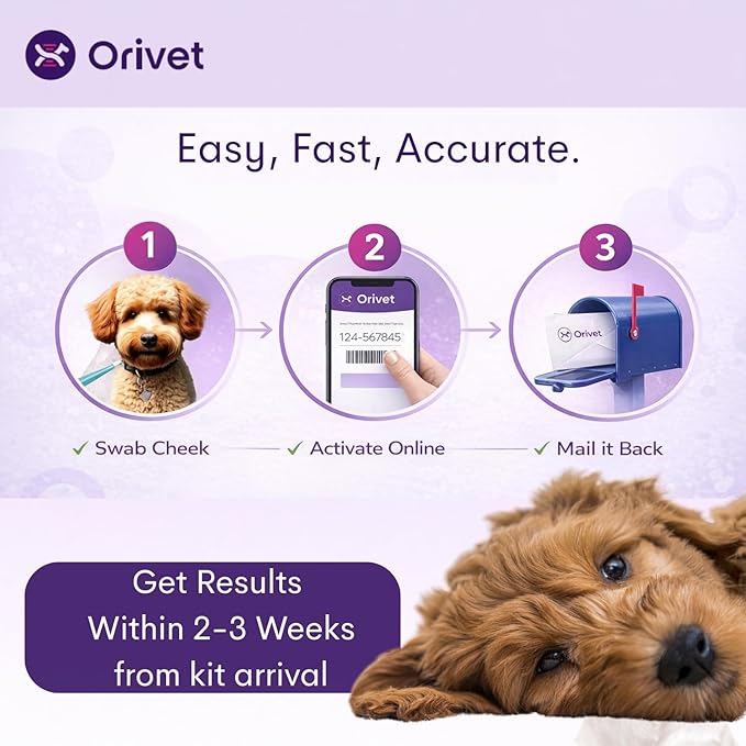 ORIVET Dog DNA Test Kit – Comprehensive Dog DNA Test Kit for 365+ Breed Identification & 330+ Health Markers | At Home Dog DNA Kit with Canine Genetic Testing & Life Plan Genopet Plus