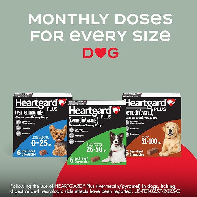 HEARTGARD® Plus (ivermectin/pyrantel) Real-Beef Chewables for Dogs 51 -100 lbs (Brown Box) 1 Month Supply of Chews (Heartworm Disease Preventive)