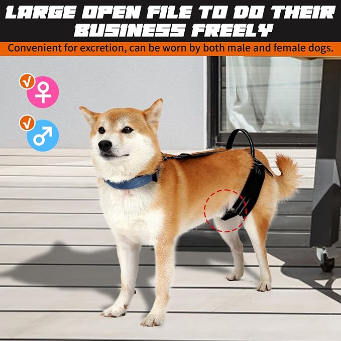 ROZKITCH Pet Dog Support Harness Rear Lifting Harness for Back Legs Reflective Dog Sling Vet Approved for Old Helps with Poor Stability Hind Legs, Joint Injuries Elderly Arthritis ACL Rehab Black S