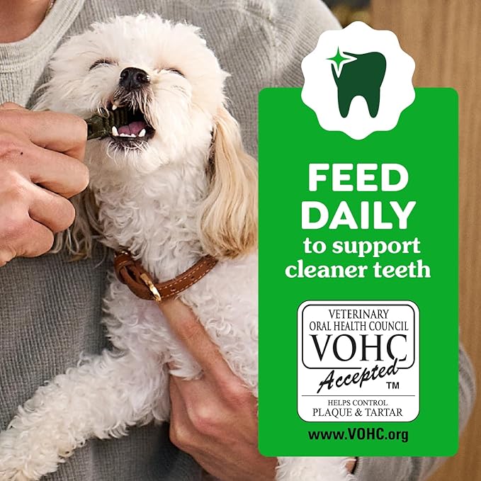 Greenies Veterinarian-Recommended Natural Dental Puppy Treats Petite Size, Dental Treats for Dogs, 6 oz. Pack, 10 Count