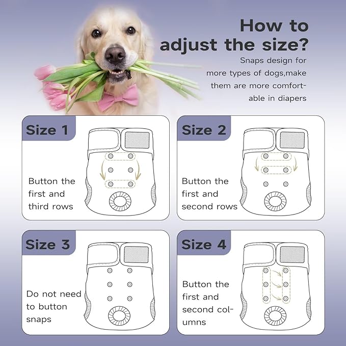 Paw Legend Washable Reusable Female Dog Period Diapers for Heat Doggie Puppy Diapers for Female Dogs (3 Pack, Small)