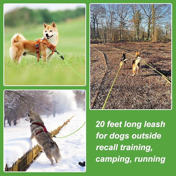Vivifying Floating Long Dog Leash, 20ft Dog Training Leash for Swimming and Lake, Reflective Long Rope Lead with Soft Handle for Outside, Yard, Camping, Hiking and Beach (Green)