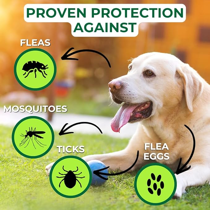 Nature’s Dome Outdoor Flea & Tick Spray – 16 oz – Kills & Repels Fleas, Ticks, Larvae & Eggs – Plant-Based Pest Control – Safe for Pets, Kids & Plants – Ready-to-Use