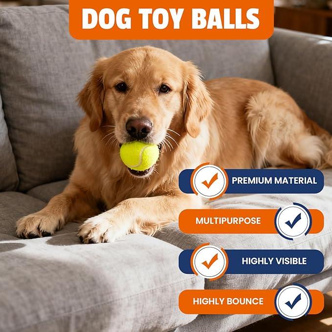 Tennis Balls for Dogs 16 Pack,2.5 inches,Durable and Non-Toxic Dog Toys Balls with Mesh Bag,Yellow Fetch Toys Balls for pet Dog (Non Squeaky)