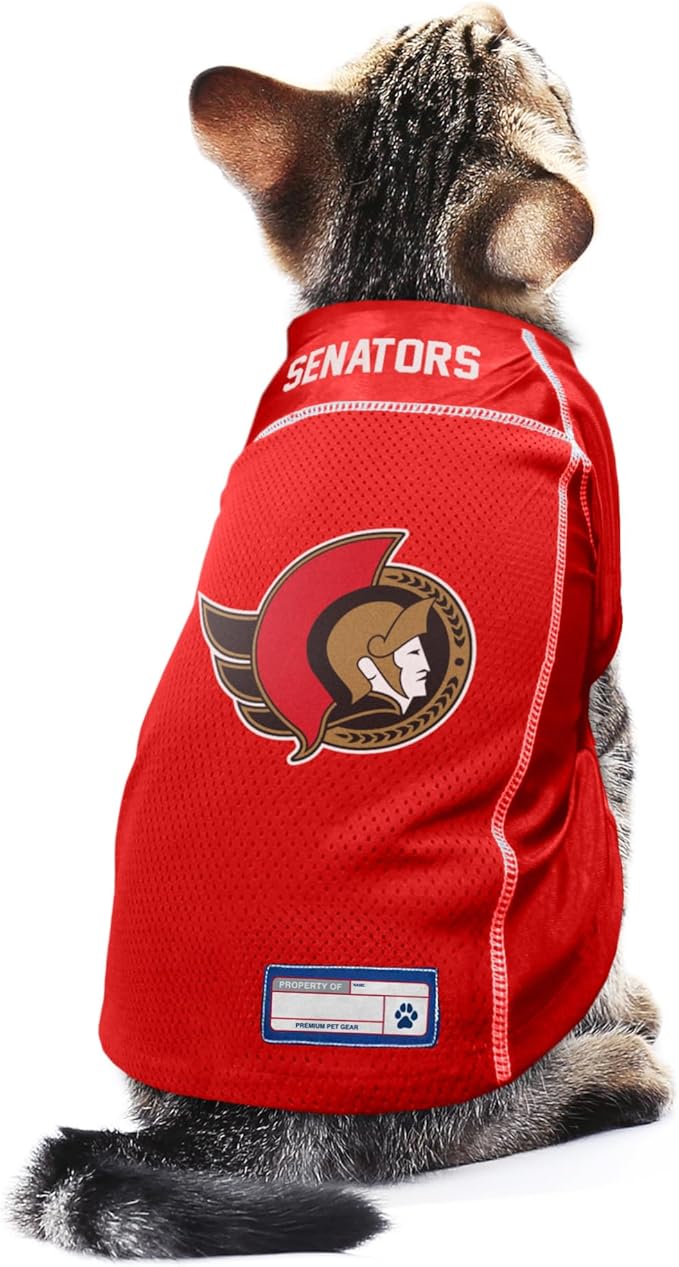 Littlearth NHL Detroit Red Wings Basic Pet Jersey, Team Color
