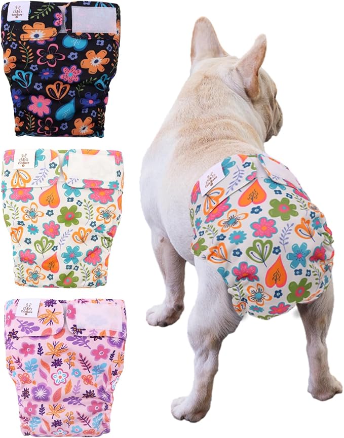 CuteBone Washable Dog Diapers Female No Tail Hole 3 Pack Reusable Doggie Period Training Pants for Docked-Tail Frenchie French Bulldog Boston Terrier Without Tail WWD19S