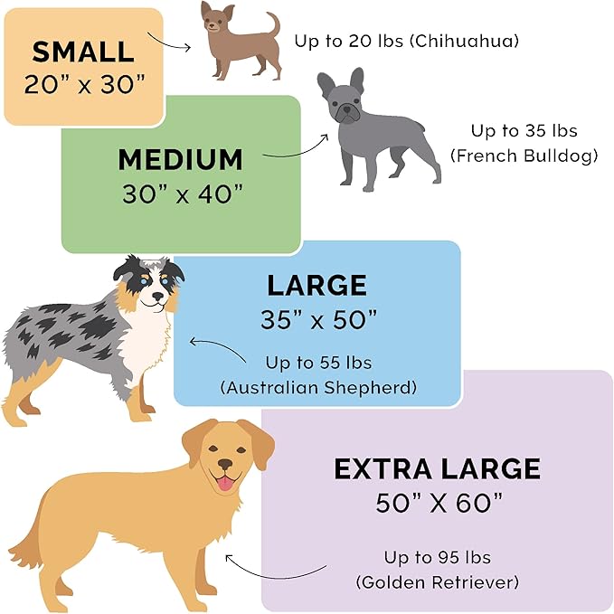 Furhaven Waterproof Throw Blanket for Dogs & Indoor Cats, Washable - Two-Tone Luxe Velvet Dog Blanket - Celadon Green, Small