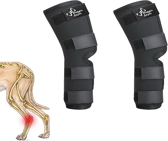 Doggie Stylz Dog Leg Braces for Back Leg Adjustable Dog Hock Brace for ACL Tear Recovery Arthritis Mobility Support Premium Leg Brace for Dogs Back Leg Dog Knee Braces for Back Leg Comfort Stability