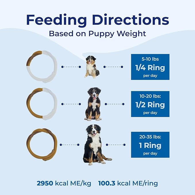 N-Bone Puppy Teething Rings Pumpkin Flavor 6 Count Bag Multi Pack, Total 3 Bags, 21.6-oz (18 Rings)