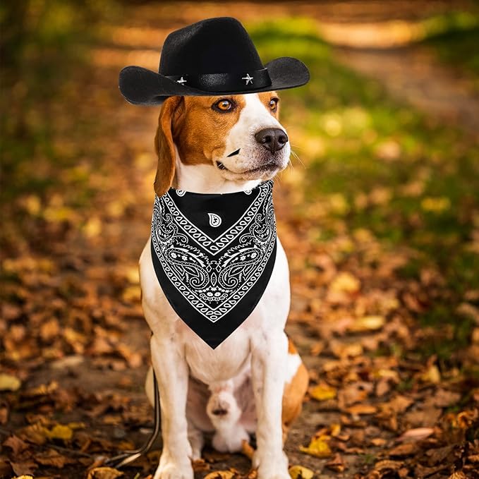 Fumwase Pet Cowboy Costume Halloween Costumes for Dogs Cat Puppy Hats with Bandana Scarf Cowboy Costume Accessories Dog Cat for Party Festival and Daily Wearing (Black, Large)