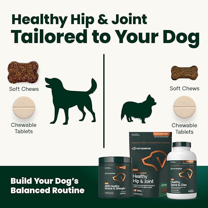 VetriScience Extra Strength Healthy Hip & Joint Chews, GlycoFlex Glucosamine and Green-Lipped Mussel Joint Support Supplement for Small Breed Dogs, Soothe Joint Discomfort, Chicken, 60 Count