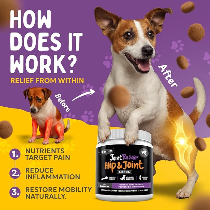 Joint Repair Dog Hip and Joint Supplement with Glucosamine, Chondroitin, Omega 3, MSM, Hemp & Turmeric. Supports Hip & Joint Health, Mobility & New Cartilage. 120 Chicken Flavor Chews, Made in USA