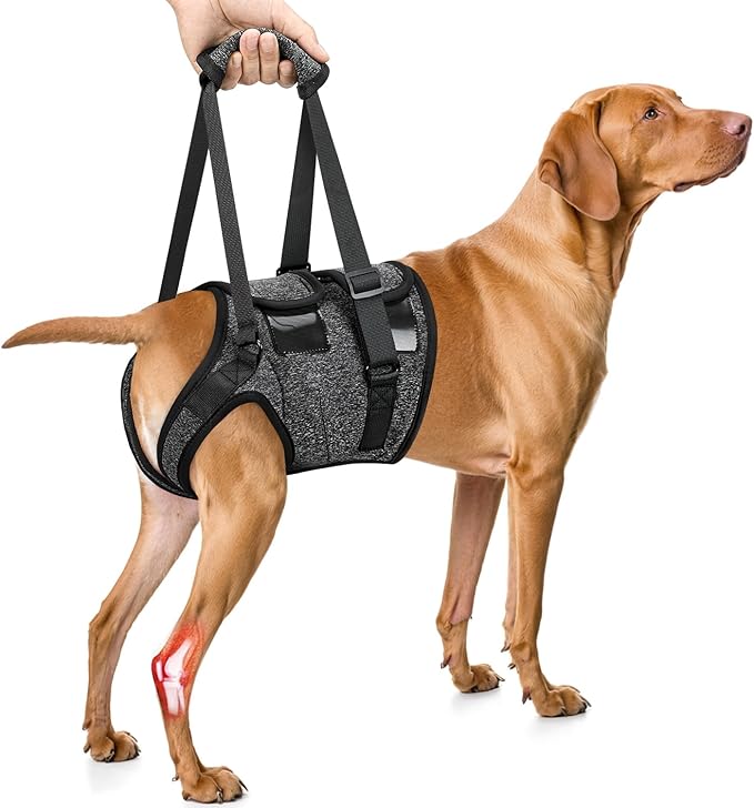 SlowTon Dog Lift Harness - Adjustable Dog Sling for Medium Large Dogs, Hind Leg Support to Help Rehabilitate, Soft Padded Dog Support Harness for Elderly, Injured, Arthritic, Disabled Dogs, S
