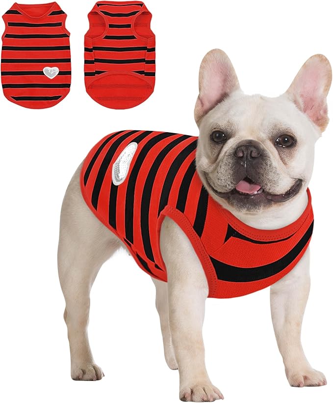 Queenmore Small Dog Shirt,Soft Breathable Dog Shirt for Dogs Cats Boy Girl,Pet Clothes for All Season,Breathable Lightweight Pet Tshirt for Frenchie, Dachshund, Yorkie