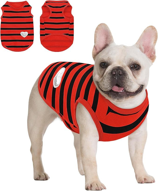Queenmore Small Dog Shirt,Soft Breathable Dog Shirt for Dogs Cats Boy Girl,Pet Clothes for All Season,Breathable Lightweight Pet Tshirt for Frenchie, Dachshund, Yorkie