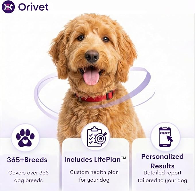 ORIVET Dog DNA Test Kit – Comprehensive Dog DNA Test Kit for 365+ Breed Identification & 330+ Health Markers | At Home Dog DNA Kit with Canine Genetic Testing & Life Plan Genopet Plus