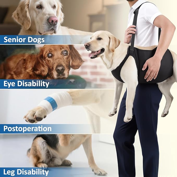 Dog Lift Harness, Full-Body Lifting Dog Harness Vest for Large Dogs, Ideal Mobility Aid for Senior, Injured, Disabled Dogs Needing Front and Rear Leg Support and Lifting Help (M)