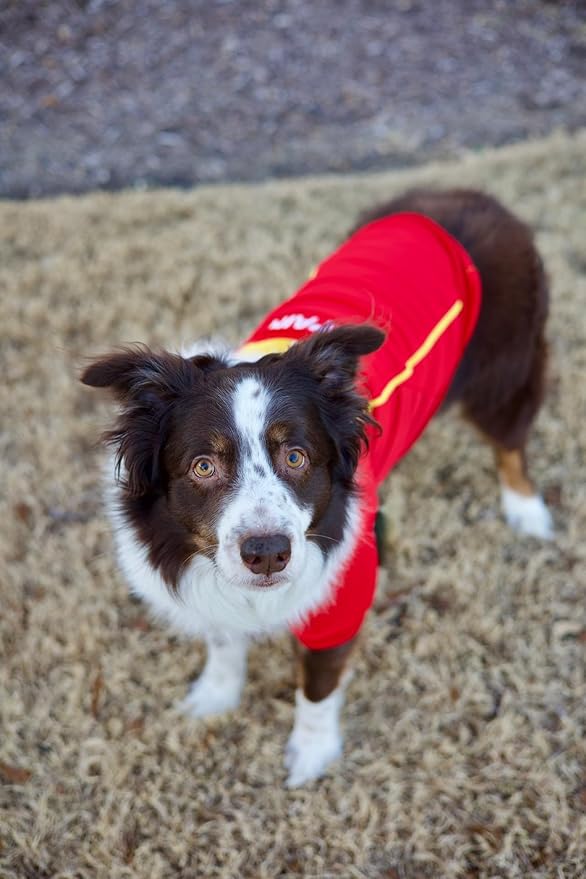 Parisian Spain Dog Jersey - Breathable Mesh Puppy Football Jersey - Lightweight Stretch Sporty Dog Clothes - Summer Shirts for Small Dogs - Soccer Jersey for Dogs - Sportswear Pet Clothes