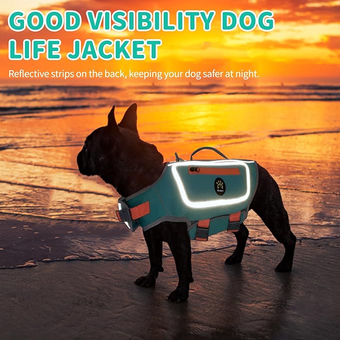 High Buoyancy Life Jacket for Dogs, Dog Life Vest for Swimming Adjustable Reflective Dog Floating Vest, Good Visibility Pet Life Preserver with Rescue Handle for Medium Dogs, Turquoise, M