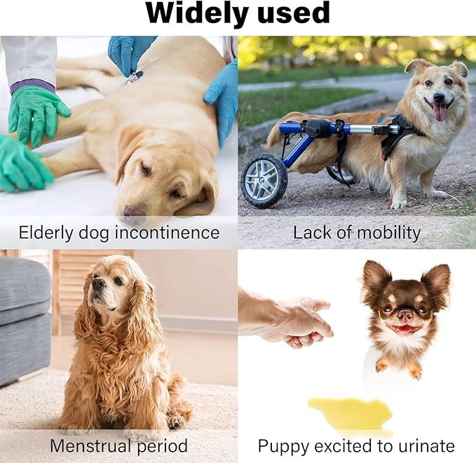 Washable Female Dog Diapers 3 Pack Premium Reusable Diapers for Dog in Heat - Highly Absorbent for Untrained Puppies, Dogs in Heat, Doggie Menstrual and Incontinence M - C