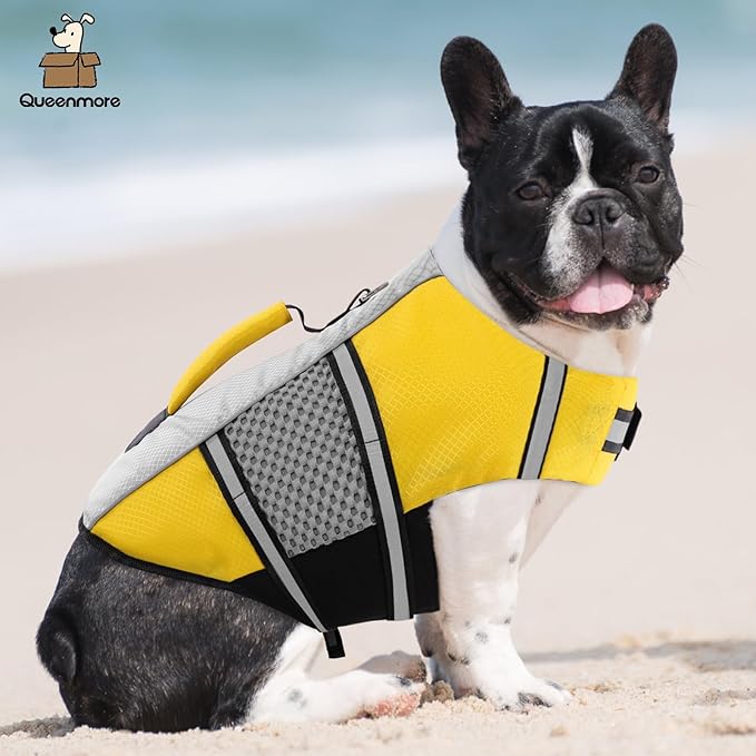 Queenmore Dog Life Jacket Swimming Vest Small Medium Dogs Neoprene Life Vest Lightweight Reflective Dog Lifesaver for Boating Kayaking Yellow,XS