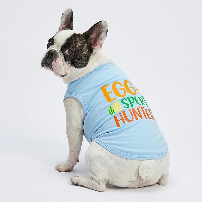 Fitwarm Egg-spert Hunter Dog Easter Outfit, Summer Clothes for Small Dogs Boy Girl, Pet Outfit, Blue, Red, Green, Orange, XS