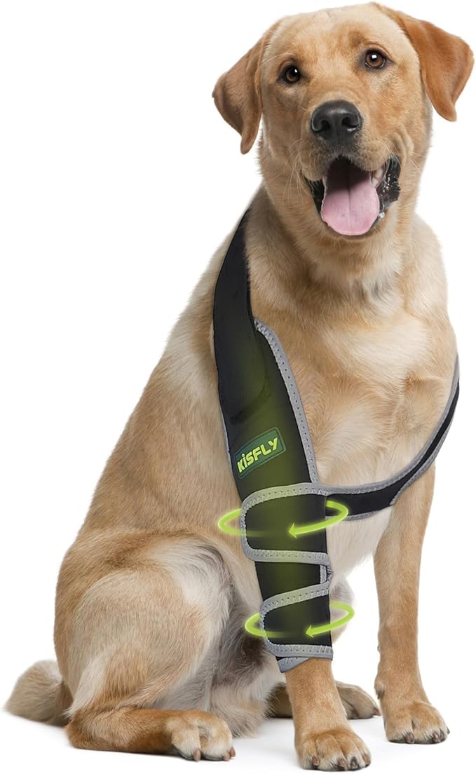 Dog Front Leg Brace, Provides Elbow & Shoulder Support, Helps with Osteoarthritis, Hygroma & Calluses, Prevents Licking with Reflective Material, Right Leg, Size XL
