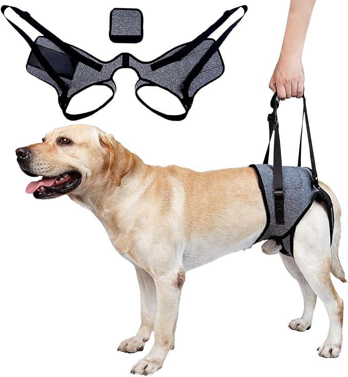 Dog Sling for Large Dogs Hind Leg Support Dog Lift Harness Adjustable Durable Rear Lift Support Harness for Weak Back Legs, Elderly, Injured, Senior, Arthritic, ACL Recovery Pet