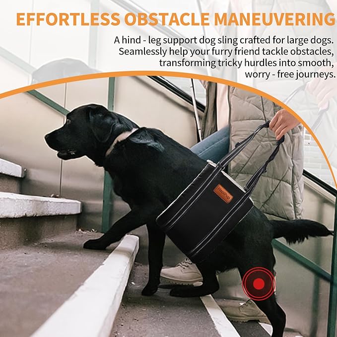 Dog Lift Harness for Large Dogs, Adjustable Comfortable Dog Sling with Handle, Knee & Rear Leg Support for Torn ACL Rehabilitation, Weak Rear Legs, Helps Senior, Disabled Canines(Black,L)