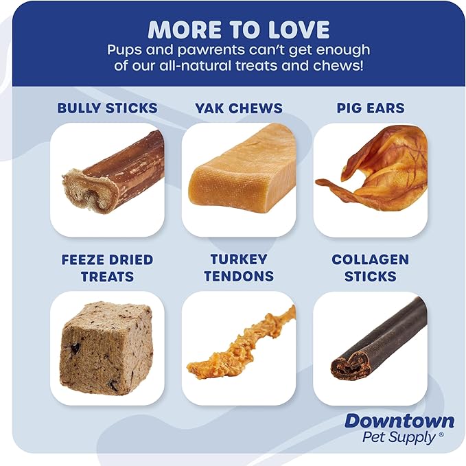 Downtown Pet Supply Bully Sticks - 12" REGULAR - 20 Pack -SOUTH AMERICA & TURKEY