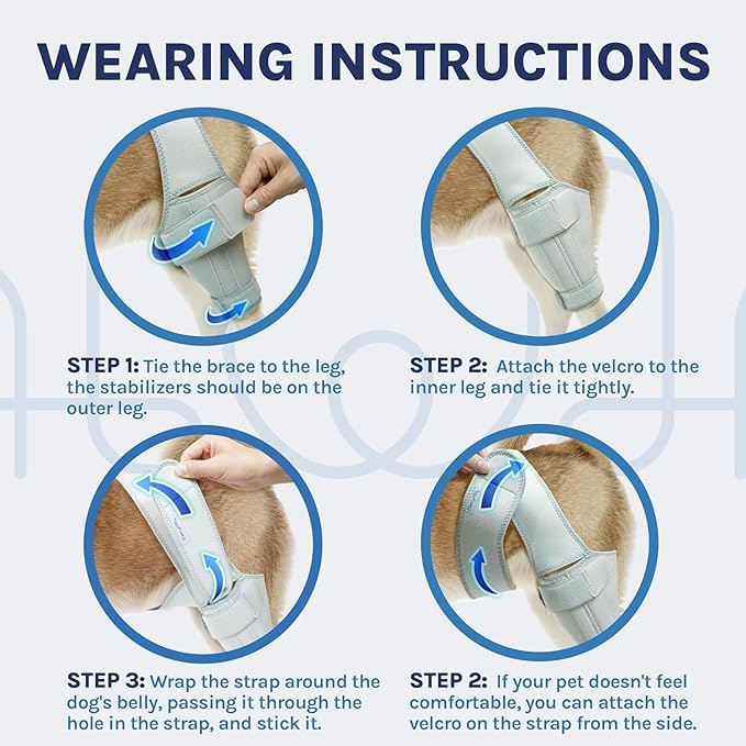 Dog Knee Brace for Torn ACL & Hind Leg Support – Adjustable Dog Hip & Leg Brace for Cruciate Ligament, Arthritis Relief, Joint Stability & Injury Recovery, Color: Silver, Size: 2X-Large