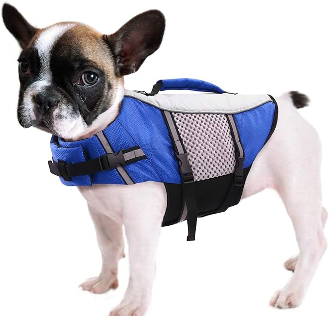 Dog Life Jacket Swimming Vest Lightweight High Reflective Pet Lifesaver with Lift Handle, Leash Ring Blue,L