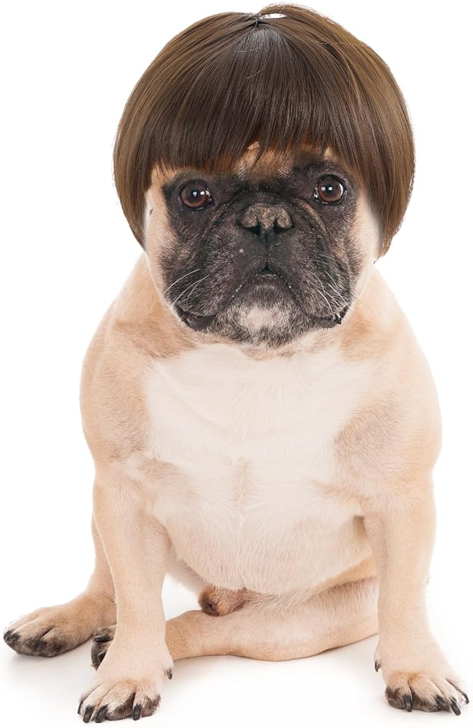Funny Dog Cat Cosplay Wigs for Dogs, Dog Wigs for Small Dogs Adjustable Cat Wig Trimmable Funny Dog-Wig Pet Wig for Halloween, Parties, Christmas, Festivals