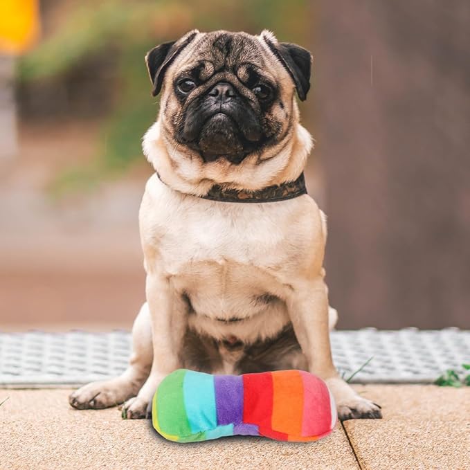 POPETPOP Durable Colorful Bone Dog Toy with Squeaker for Chewing and Teeth Grinding Plush Interactive Puppy and Dog Toy for Small Medium and Large Breeds