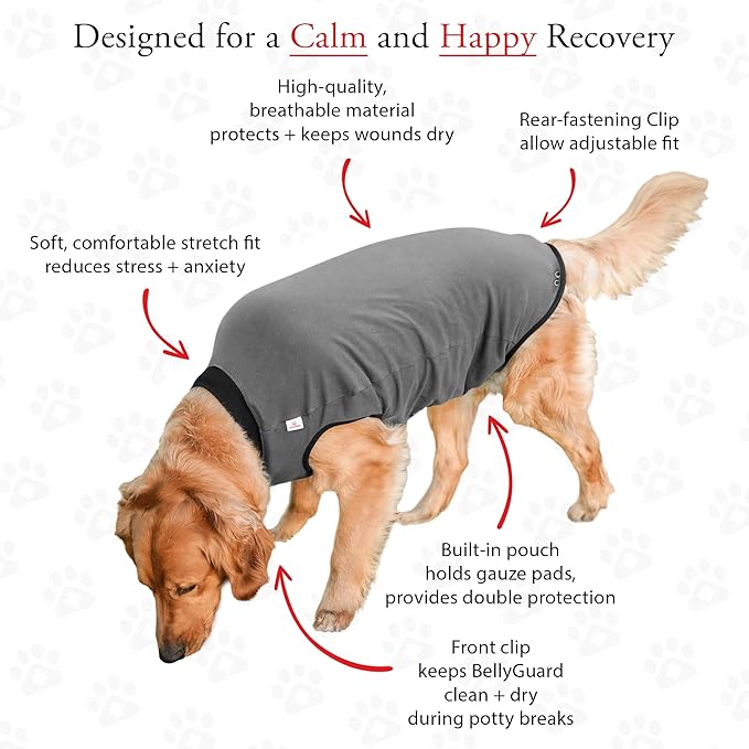 BellyGuard Dog Surgery Recovery Suit, Dog Onesie for Post-Op Care, Recovery Apparel for Female and Male, Surgical Body Cover for Canine Healing Support