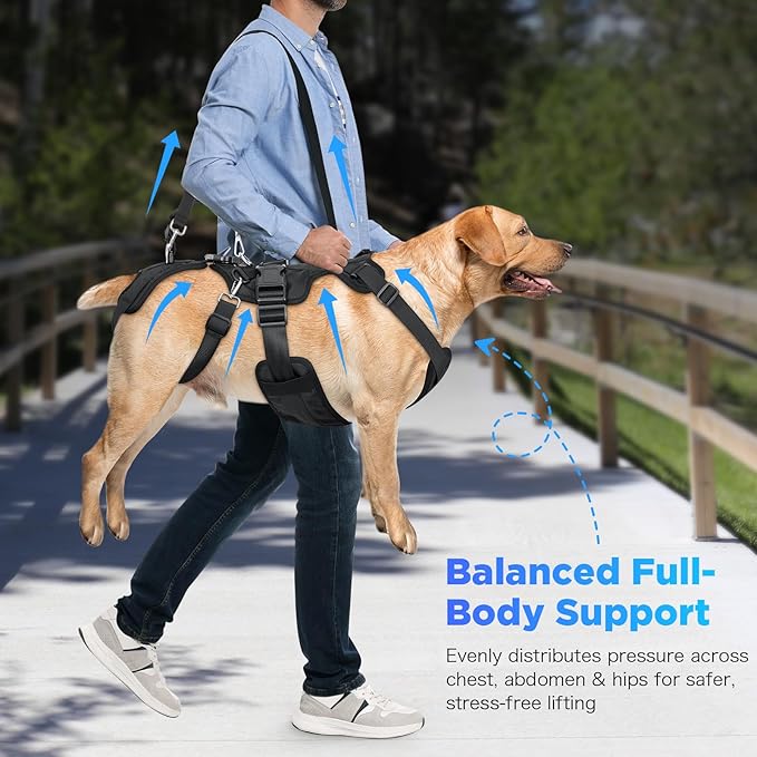 Dog Lift Harness, Full Body Support & Recovery Sling with Rear Leg Strap – Pee-Able Design for Large/Medium Dogs, Mobility Aid Harness for Senior, Injured, Disabled, Arthritic & Post-Surgery Pets (M)