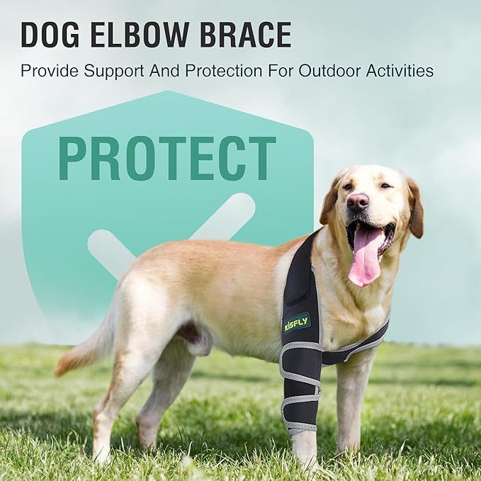 Dog Elbow Brace Protector for Front Leg, Provides Elbow & Shoulder Support, Helps Reduce Calluses, Pressure Sores & Hygroma, Prevents Licking, Reflective Design, Right Leg, Size M