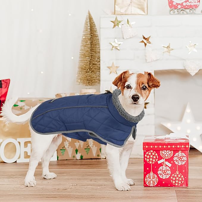 Fragralley Dog Coat Large, Waterproof Dog Jacket with Warm Fleece Lining, Adjustable Reflective Dogs Winter Coat, Turtleneck Pet Coats for Cold Weather (Blue XXL)