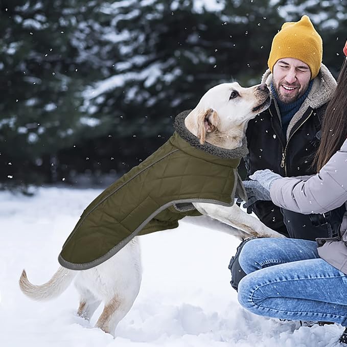 Fragralley Dog Coat Large, Waterproof Dog Jacket with Warm Fleece Lining, Adjustable Reflective Dogs Winter Coat, Turtleneck Pet Coats for Cold Weather (ArmyGreen XXL)